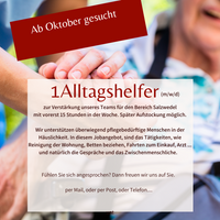 Alltagshelfer Hauswirtschaft SAW